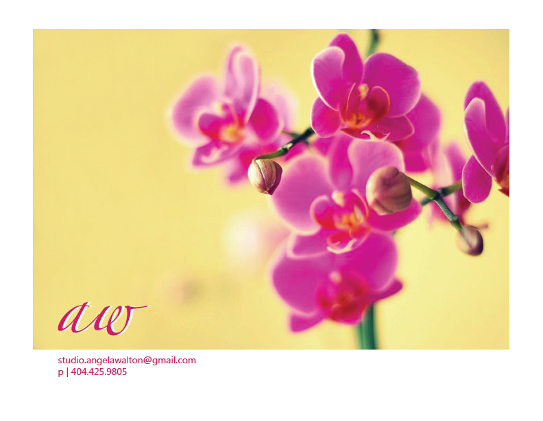 Angela Walton | Freelance Creative Services